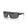 Arnette AN 4202 447/81 Güneş Gözlüğü