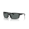 Arnette AN 4242 01/81 Güneş Gözlüğü