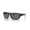 Arnette AN 4256 01/81 Güneş Gözlüğü