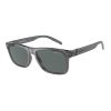 Arnette AN 4298 278681 Güneş Gözlüğü