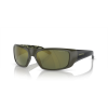 Arnette AN 4182 29136R Güneş Gözlüğü