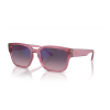 Arnette AN 4325 2907H9 Güneş Gözlüğü