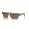 Arnette AN 4338 290673 Güneş Gözlüğü
