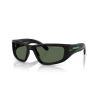 Arnette AN 4358 290071 Güneş Gözlüğü