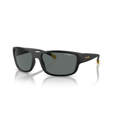 Arnette AN 4256 01/81 Güneş Gözlüğü