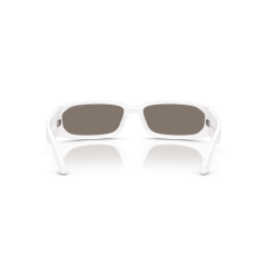 Arnette AN 4349 29746G Güneş Gözlüğü, Resim 3