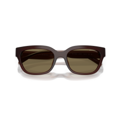 Armani Exchange AX 4155SU 837373 Güneş Gözlüğü, Resim 5