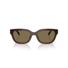 Armani Exchange AX 4155SU 837373 Güneş Gözlüğü, Resim 4