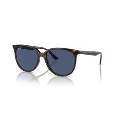 Ray-Ban RB 4378 710/80 Güneş Gözlüğü