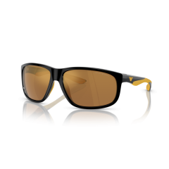 Emporio Armani EA 4199U 50176H Güneş Gözlüğü