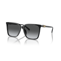 Michael Kors MK 2197U 3005T3 Güneş Gözlüğü