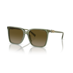 Michael Kors MK 2197U 394413 Güneş Gözlüğü