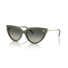 Tiffany TF 4195 835811 Güneş Gözlüğü
