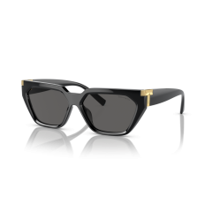 Tiffany TF 4205U 8001S4 Güneş Gözlüğü