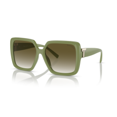 Tiffany TF 4206U 83687Z Güneş Gözlüğü