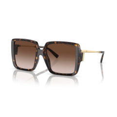 Tiffany TF 4212U 80153B Güneş Gözlüğü