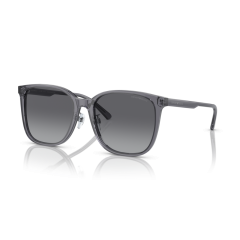 Emporio Armani EA 4206D 5029T3 Güneş Gözlüğü