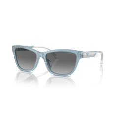 Emporio Armani EA 4227U 609611 Güneş Gözlüğü