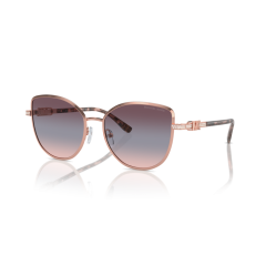 Michael Kors MK 1144B 11080J Güneş Gözlüğü