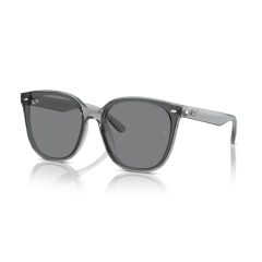 Ray-Ban RB 4423D 645087 Güneş Gözlüğü