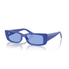 Ray-Ban RB 4425 676180 Güneş Gözlüğü