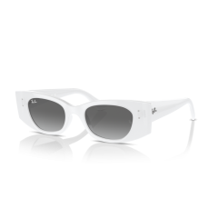 Ray-Ban RB 4427 675911 Güneş Gözlüğü