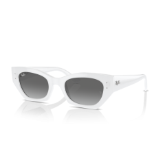 Ray-Ban RB 4430 675911 Güneş Gözlüğü