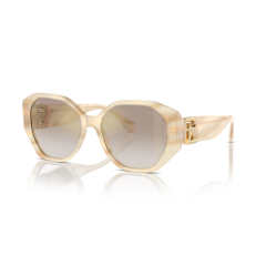 Ralph Lauren RL 8220 61766E Güneş Gözlüğü