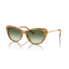 Ralph Lauren RL 8224U 53043M Güneş Gözlüğü