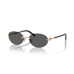 Tiffany TF 3104D 6216S4 Güneş Gözlüğü