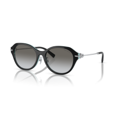 Tiffany TF 4210D 82853C Güneş Gözlüğü