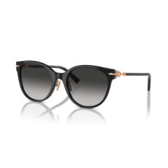 Tiffany TF 4223D 80013C Güneş Gözlüğü