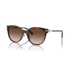 Tiffany TF 4223D 80153B Güneş Gözlüğü