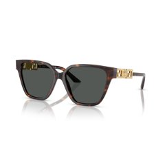 Versace VE 4471B 108/87 Güneş Gözlüğü