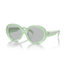 Emporio Armani EA 4231U 615487 Güneş Gözlüğü
