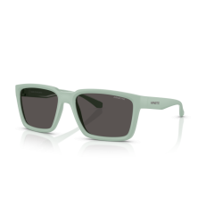 Arnette AN 4346 296487 Güneş Gözlüğü