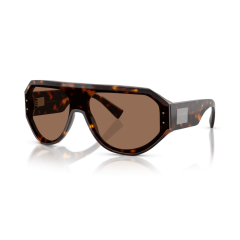 Dolce & Gabbana DG 4481 502/73 Güneş Gözlüğü