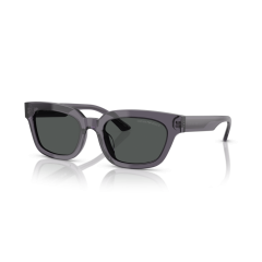 Emporio Armani EA 4233U 610687 Güneş Gözlüğü