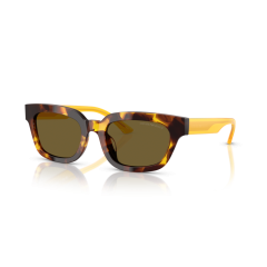 Emporio Armani EA 4233U 618173 Güneş Gözlüğü