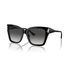 Jimmy Choo JC 5012 50008G Güneş Gözlüğü
