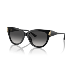 Jimmy Choo JC 5018U 50008G Güneş Gözlüğü