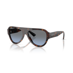 Jimmy Choo JC 5027 50028F Güneş Gözlüğü