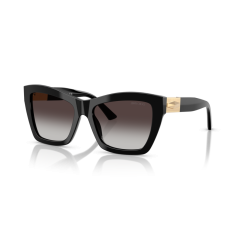 Jimmy Choo JC 5031 50008G Güneş Gözlüğü