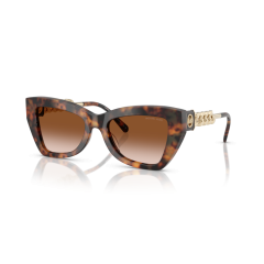 Michael Kors MK 2205 39043B Güneş Gözlüğü
