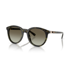 Michael Kors MK 2227 39433M Güneş Gözlüğü
