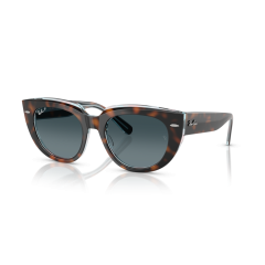 Ray-Ban RB 2286 1413S3 Güneş Gözlüğü, Cinsiyet: Kadın, Ekartman: 49, Polarize: Evet