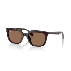 Ray-Ban RB 4439D 623173 Güneş Gözlüğü