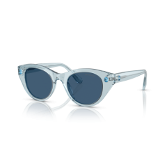 Swarovski SK 6025 106555 Güneş Gözlüğü