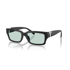 Tiffany TF 4226U 8425D9 Güneş Gözlüğü