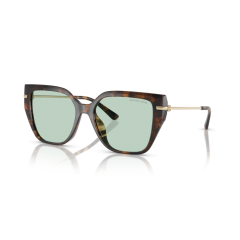Michael Kors MK 2231U 3006M1 Güneş Gözlüğü